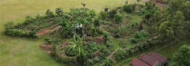 EdibleScapes Gardens